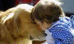 Approvate dalla Giunta regionale le linee guida per la "pet therapy"