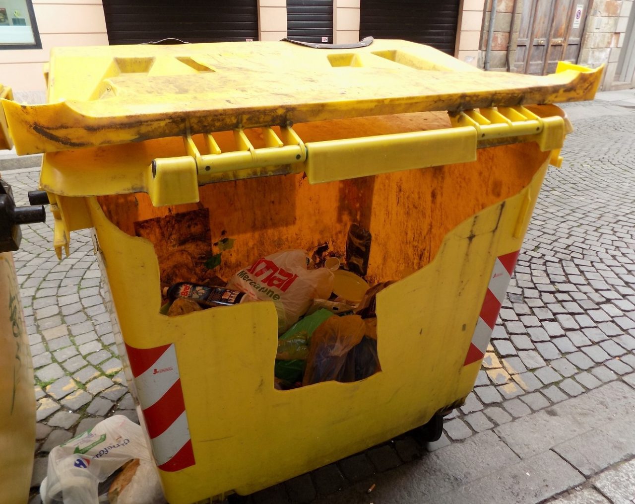 Ora spaccano pure i cassonetti …