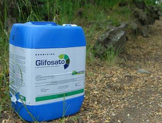 Pesticida nell’acqua di Brusnengo