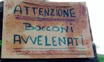 Torna l'incubo polpette avvelenate per i cani in città