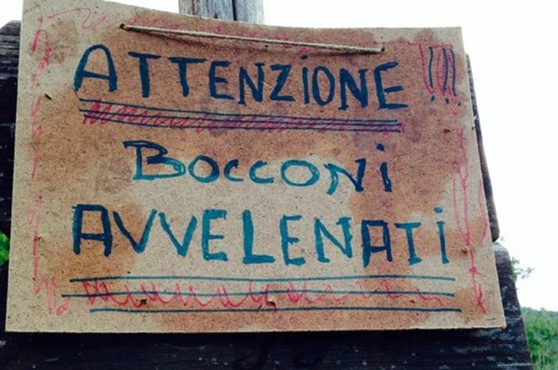 Torna l’incubo polpette avvelenate per i cani in città