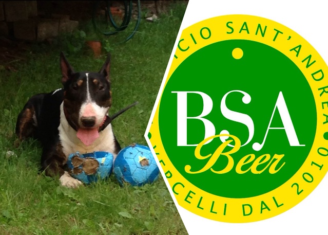 Un aperitivo per il canile di Borgo Vercelli