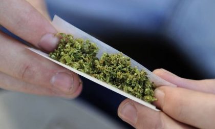 Aumentato l'uso di cannabis nei giovani piemontesi