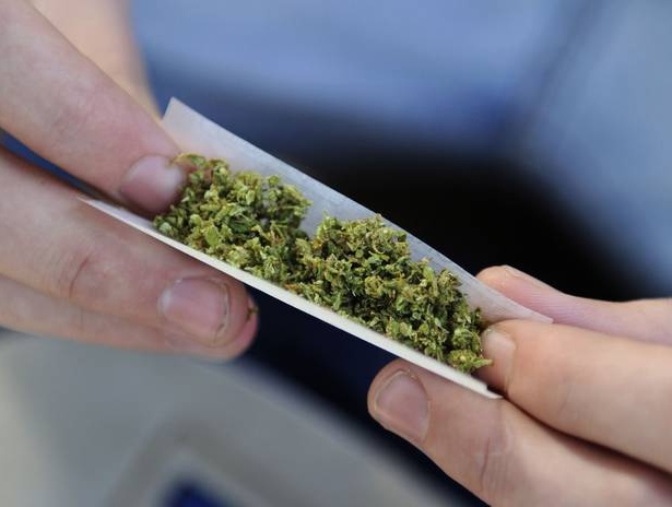 Aumentato l’uso di cannabis nei giovani piemontesi