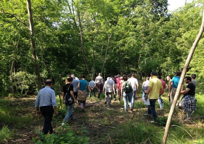 L’11 e il 12 aprile, al Bosco della Partecipanza, il workshop sulle Prescrizioni Verdi e la camminata tra gli alberi