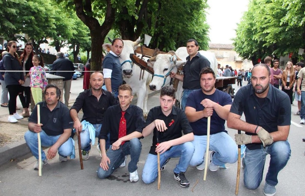 Compriamo Icaro e Gustavo per salvarli dal macello