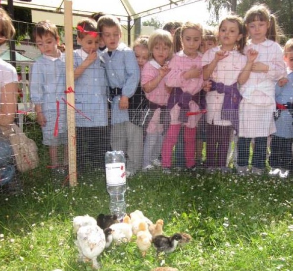 I musei cittadini approdano alla Fattoria in Città al servizio dei bambini