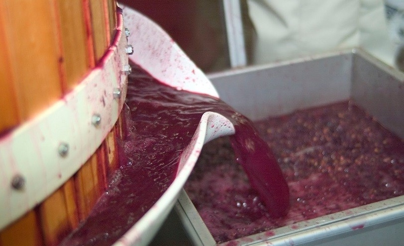La Finanza sequestra 70.000 litri di vino
