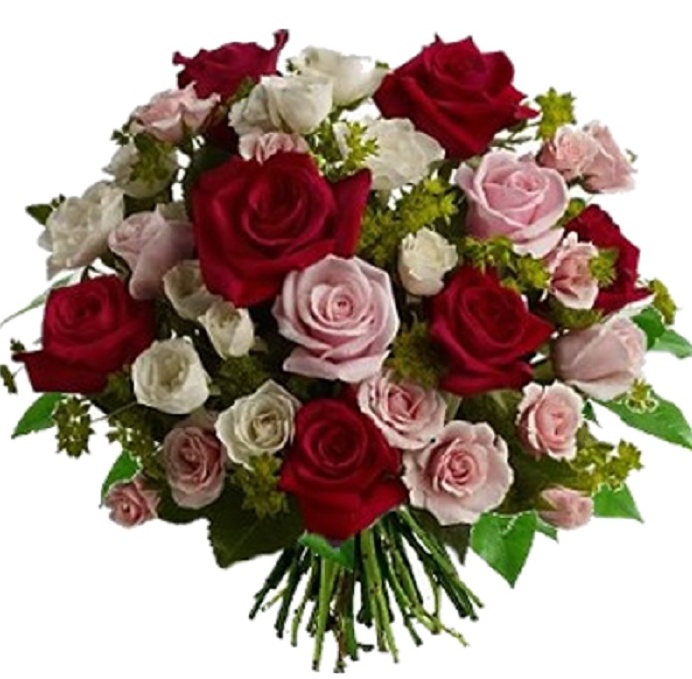 Regala una rosa alla mamma e aiuta Diapsi