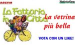 Vota la vetrina più bella a tema Fattoria