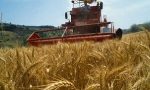 Agricoltura e paesaggio: le decisioni della Regione