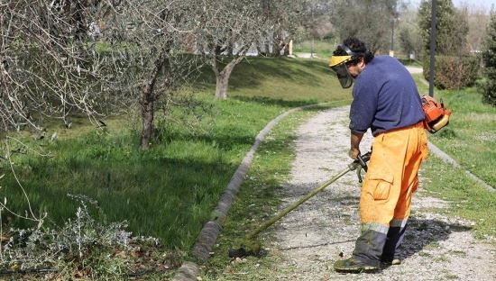 Bassini: “Taglio dell’erba in città prosegue a ritmo serrato”