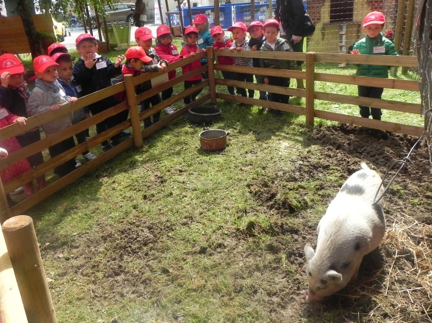 Fattoria in città 2018: prime anticipazioni