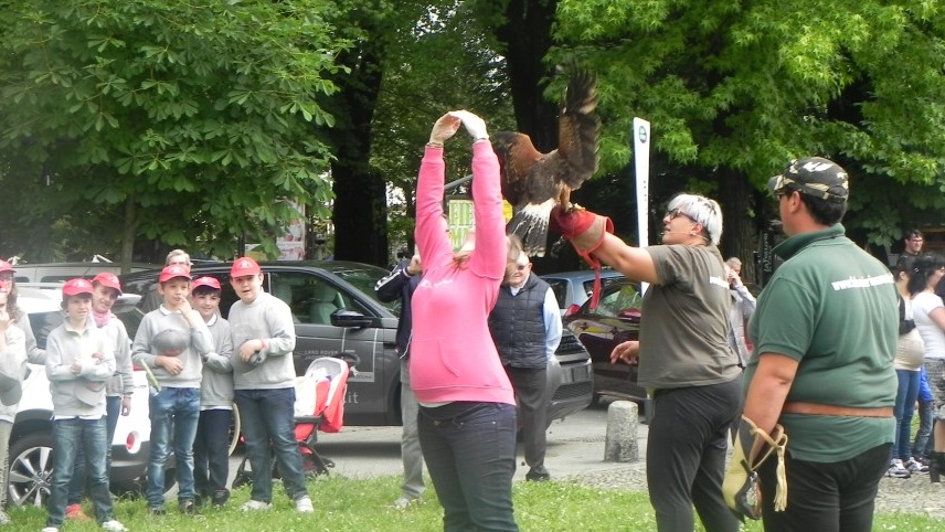 “I falconieri non sono aguzzini”