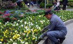 Una Legge stoppa i giardinieri abusivi