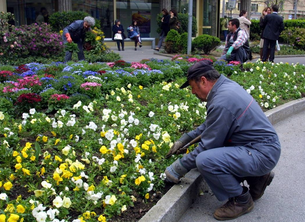 Una Legge stoppa i giardinieri abusivi