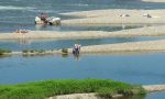 Vercelli Beach: ma non si può fare il bagno