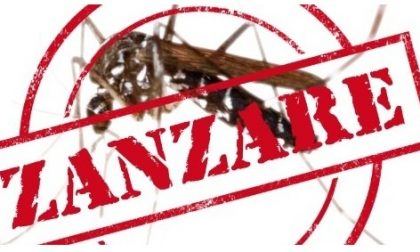 La lotta alle zanzare costa 80.000 euro
