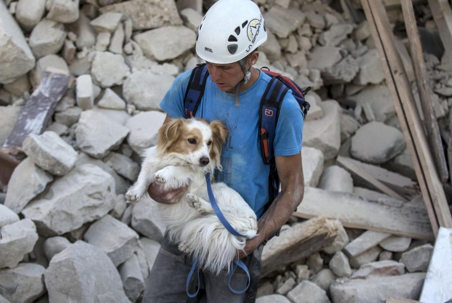 TERREMOTO: anche il Canile di Borgo Vercelli si mobilita