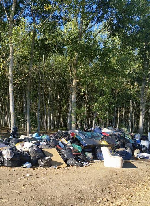 VERCELLESE: rave party a Candia Lomellina, 800 persone identificate, 6 arresti e 300 veicoli controllati