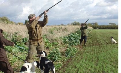 Caccia in Piemonte, record di specie nel mirino