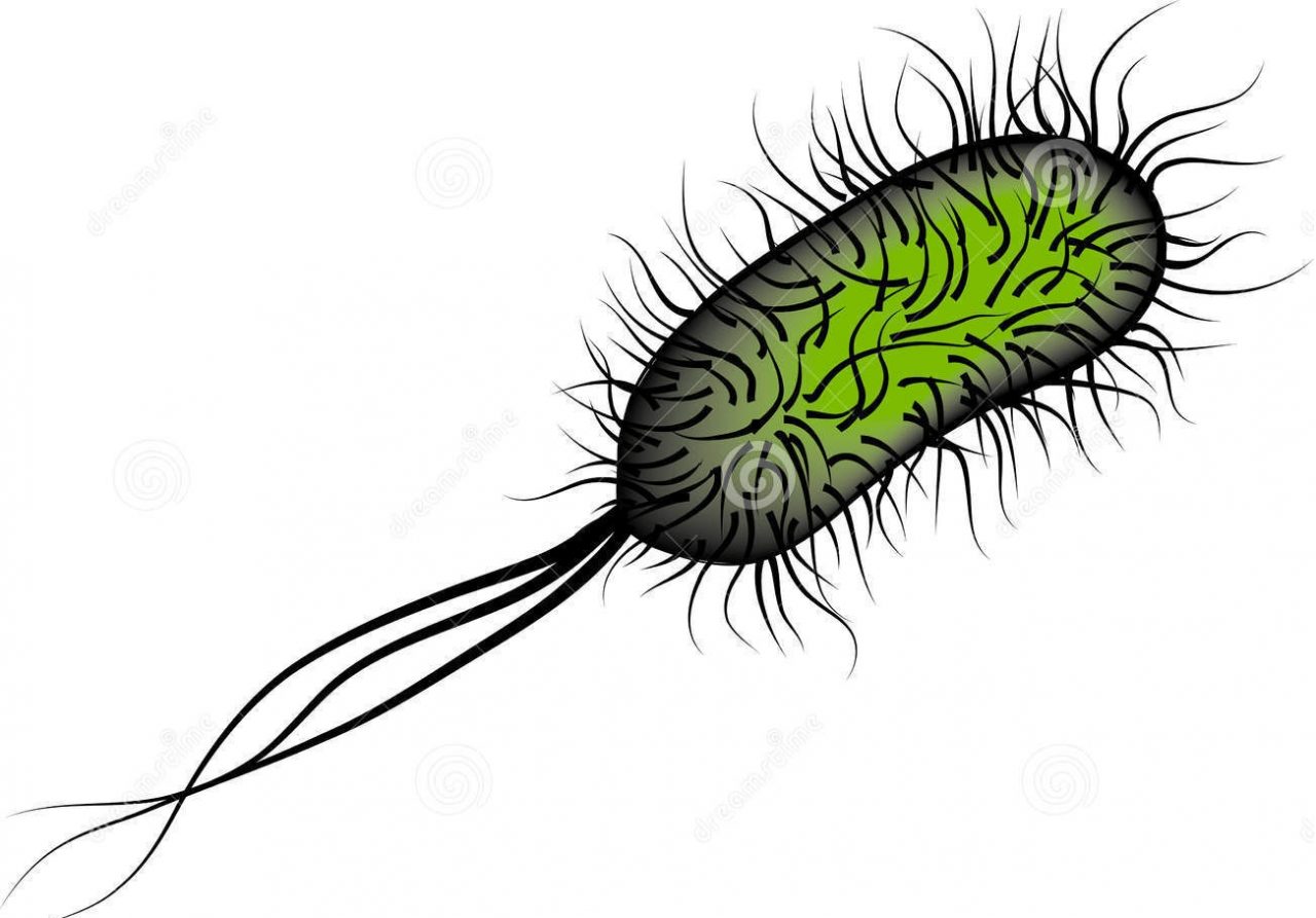 E-coli nell’acqua a Olcenengo