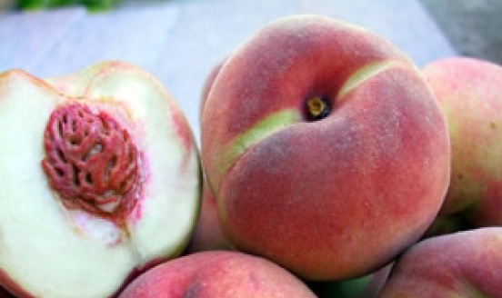 ECCELLENZE: La Bella e il Gigante nell’Arca del gusto