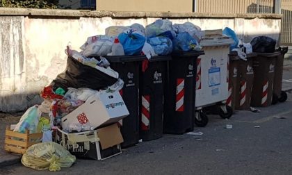 La processione del Cervetto sarà accolta dalla spazzatura