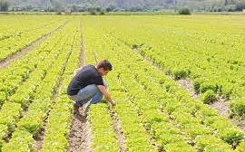 STAGE: Tornare alla terra per crearsi un futuro