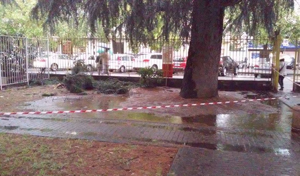 VERCELLI: cade ramo al Cup. Donna al Pronto Soccorso