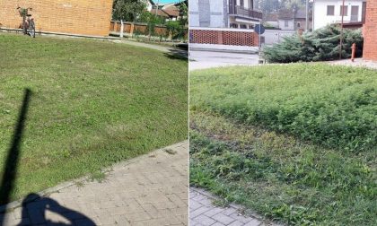 BORGO VERCELLI: i giardini della scuola elementare tornano puliti grazie a un papà e agli Amministratori