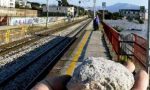 CRONACA: Sassi contro il treno Vercelli-Pavia