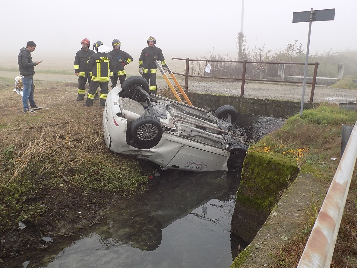 CRONACA: cinghiale sulla strada, auto nel canale!