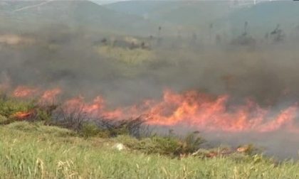 CRONACA: incendio di sterpaglie ha minacciato la Strada Provinciale 31 verso Vercelli