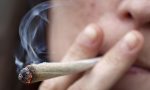 DROGA: cannabis tre volte più tossica