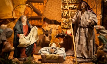 Furto di pecore... del presepe