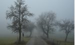 METEO: in arrivo nubi e foschie