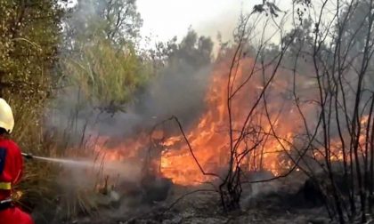 IN FIAMME LA MONTAGNA SOPRA BIELLA