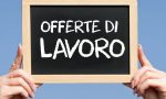 VERCELLI: le offerte di lavoro del Centro Impiego