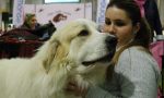 CARESANABLOT: straordinario successo della rassegna canina