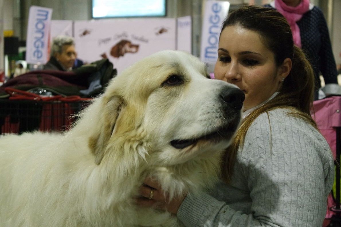 CARESANABLOT: straordinario successo della rassegna canina