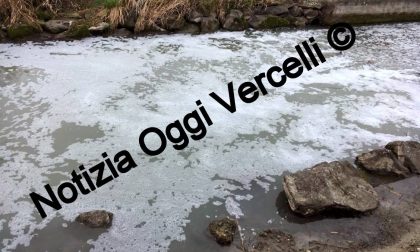 CRONACA: a Borgo Vercelli  è allarme ambientale