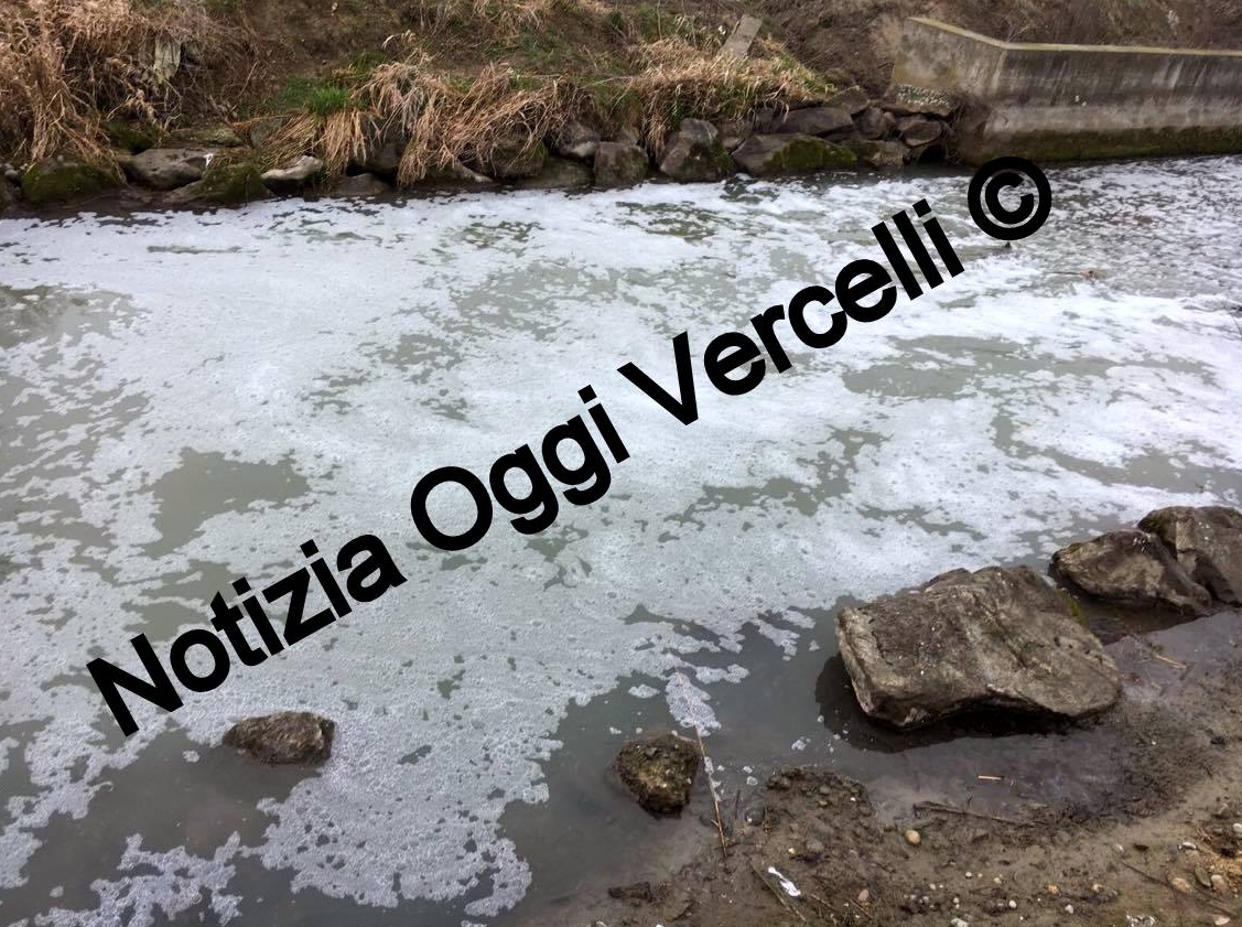 CRONACA: a Borgo Vercelli  è allarme ambientale