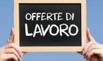 LAVORO: Altre offerte Centro Impiego