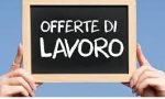 LAVORO: Venditori cercasi