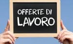 LAVORO: le ultime offerte del Centro Impiego