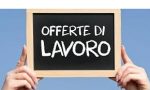 LAVORO: un posto per amministrativi con esperienza