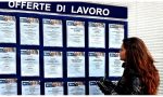 OFFERTE DI LAVORO: Nuove interessanti opportunità