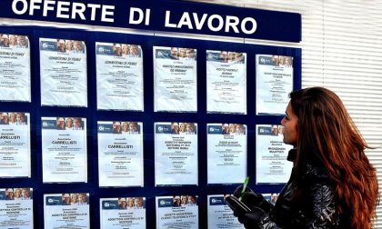 VERCELLI: le ultime offerte di lavoro del Centro Impiego