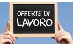 LAVORO: Nuove offerte del Centro Impiego